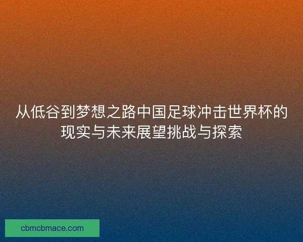 从低谷到梦想之路中国足球冲击世界杯的现实与未来展望挑战与探索