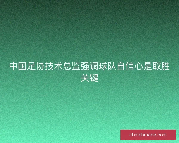 中国足协技术总监强调球队自信心是取胜关键